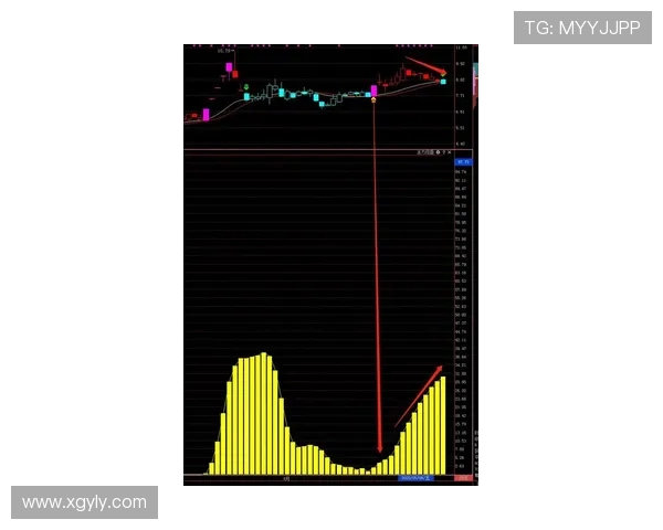 RNG中路突破分析：成败得失与战术调整的深度剖析