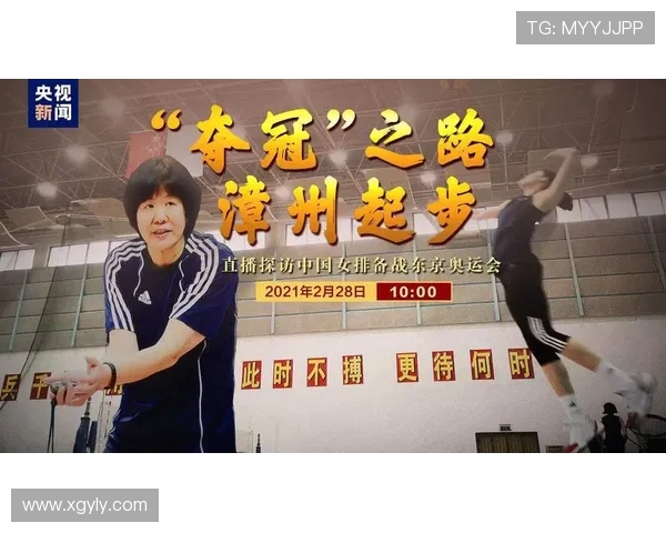 北京排球队状态分析与表现评估：数据背后的故事与趋势探讨