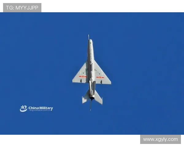 西安飞盘队战术创新引领潮流助力团队实力大幅提升