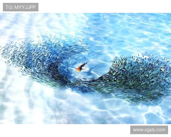 曼塔海豚与麦德林的奇妙邂逅探索海洋与城市的完美融合